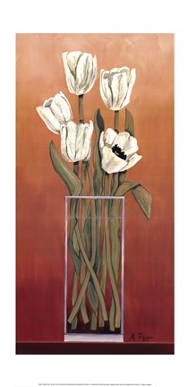 Framed Regal Pearl Print