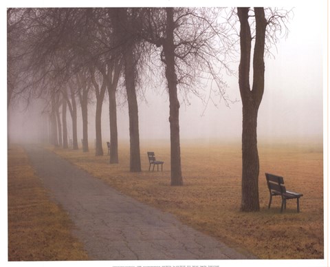 Framed Foggy Day Print