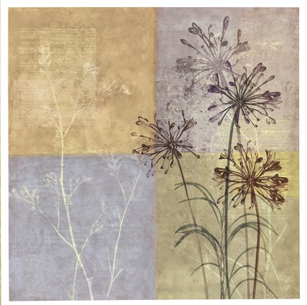 Framed Wildflowers II Print