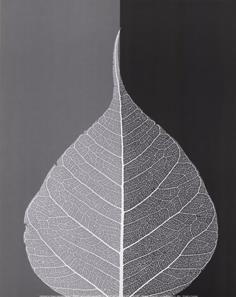 Framed Crystalline Form II (Mini) Print