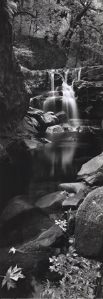 Framed Coquille River - Oregon - Usa Print
