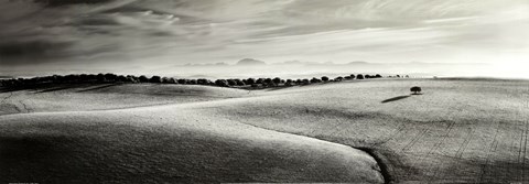 Framed Fuentes De Leon - Cadiz - Spain Print