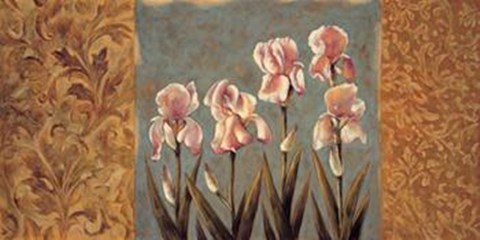 Framed Timeless I Print