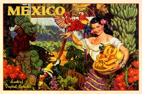 Framed Mexico, Land Of Tropical Splendor Print