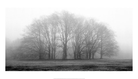 Framed Gathering Trees Print