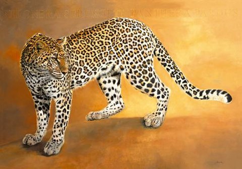 Framed Leopard De Seronera Print