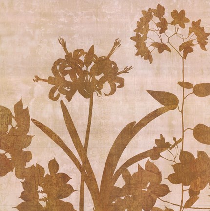 Framed Golden Reflections II Print