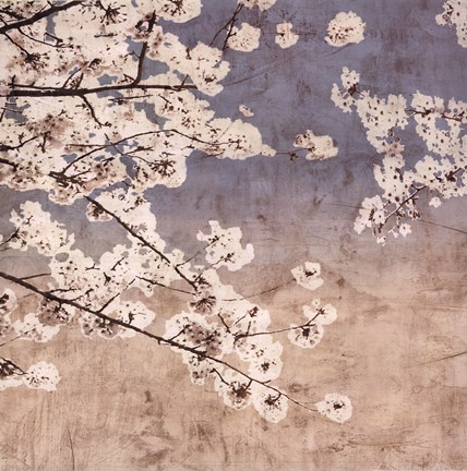 Framed Cherry Blossoms II Print