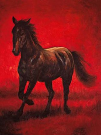 Framed Stallion II Print