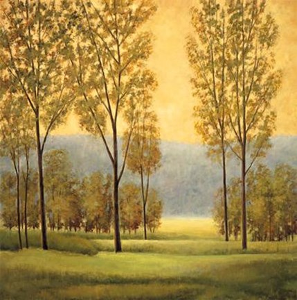 Framed Misty Morning I Print