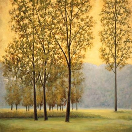 Framed Misty Morning II Print