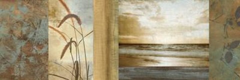 Framed Del Mar I Print