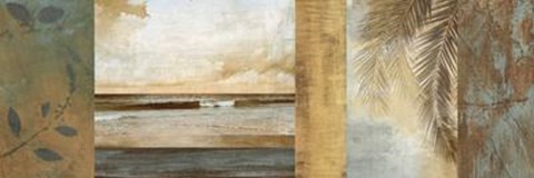 Framed Del Mar II Print