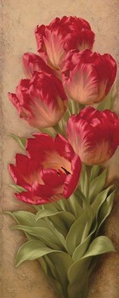 Framed Once Again II Print