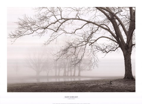 Framed Layers Of Trees I Print