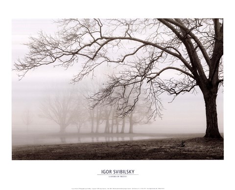 Framed Layers Of Trees I Print