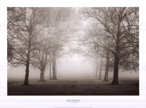 Framed Layers Of Trees II Print