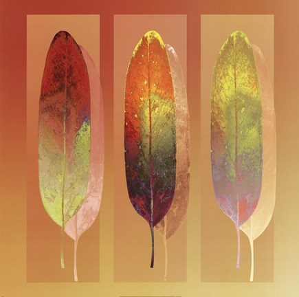 Framed Golden Mean Print