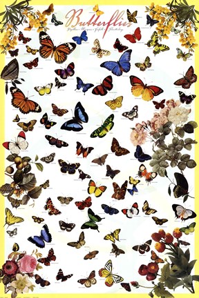 Framed Butterflies flying Print
