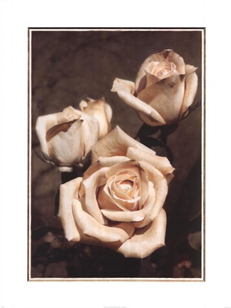 Framed Timeless Trio Print