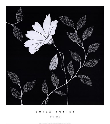 Framed Levisia Print