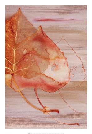Framed Autumn Radiance I Print