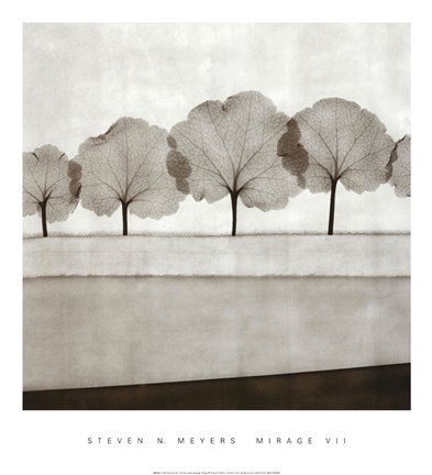 Framed Mirage VII Print