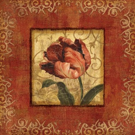 Framed Blooming Red II Print