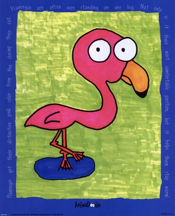 Framed Flamingo Print