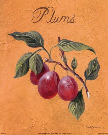 Framed Plums Print