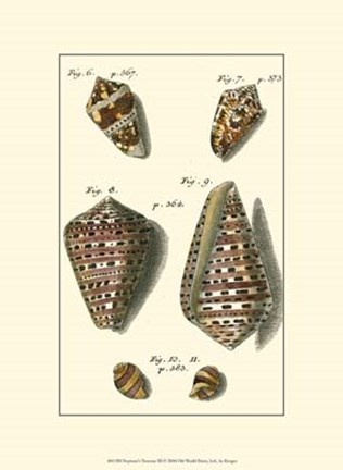 Framed Neptune&#39;s Treasure III Print