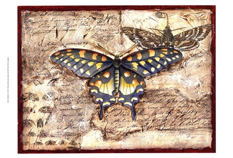 Framed Poetic Butterfly II Print