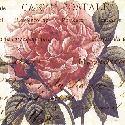 Framed Carte Postale Rose III Print