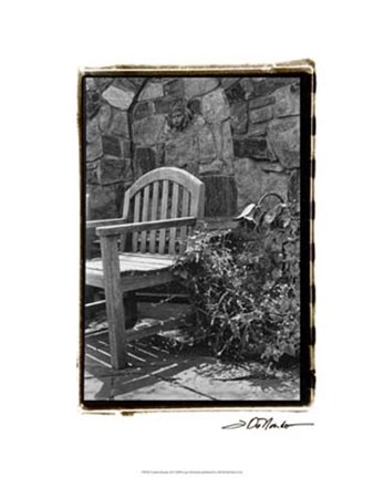 Framed Garden Respite II Print
