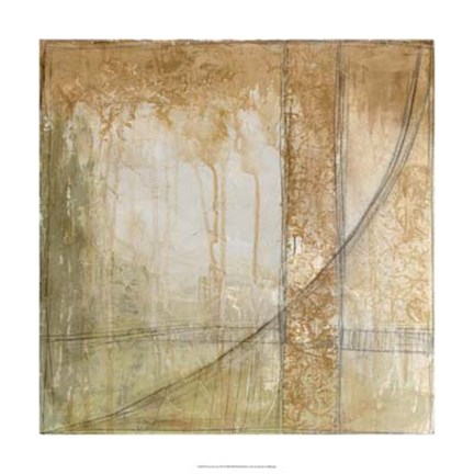 Framed Iron and Lace III Print