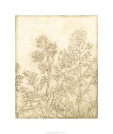 Framed Ivory Field I Print