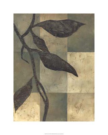 Framed Tortoise Shell I Print