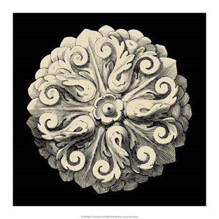 Framed Black and Tan Rosette II Print