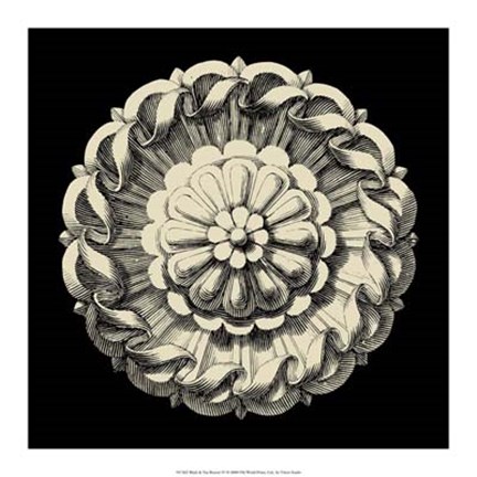 Framed Black and Tan Rosette IV Print