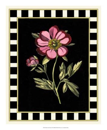 Framed Pink Peony II Print