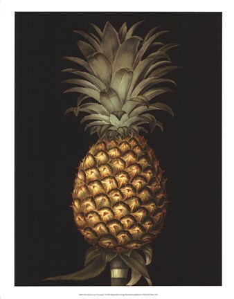 Framed Exotic Pineapple I Print