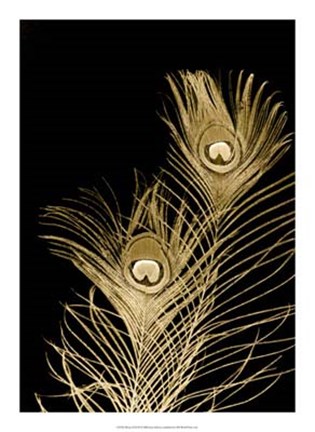 Framed Plumes D&#39;or II Print