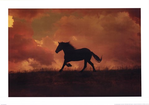 Framed Forgotten Horse Print