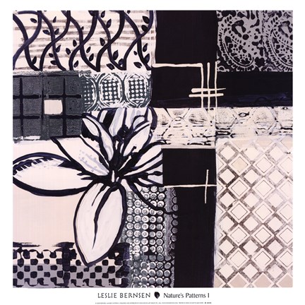 Framed Nature's Patterns I Print