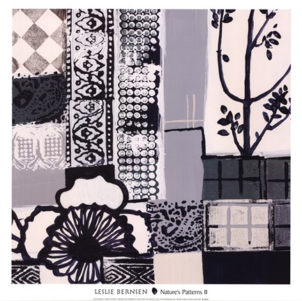 Framed Nature's Patterns II Print