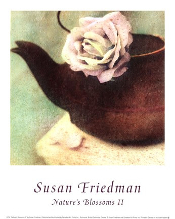 Framed Nature's Blossoms II Print