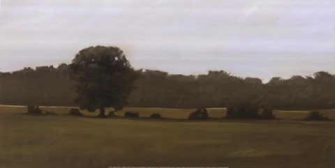 Framed Resting Place Print