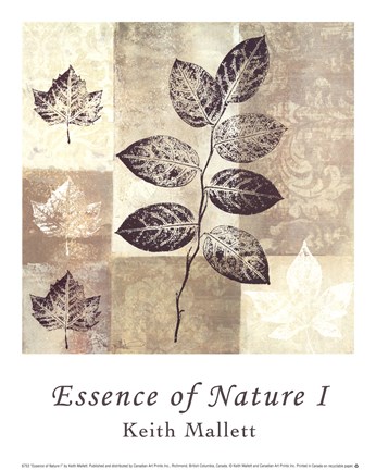 Framed Essence of Nature I Print