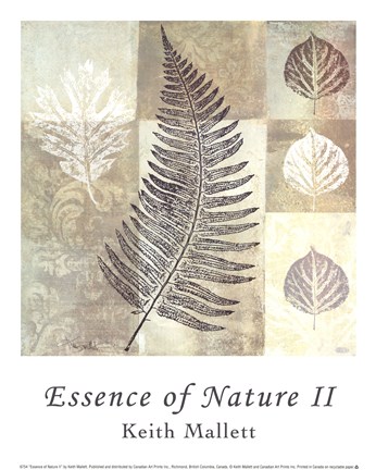 Framed Essence of Nature II Print