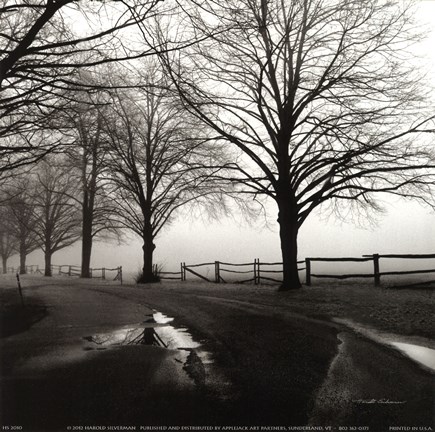 Framed After the Rain Print